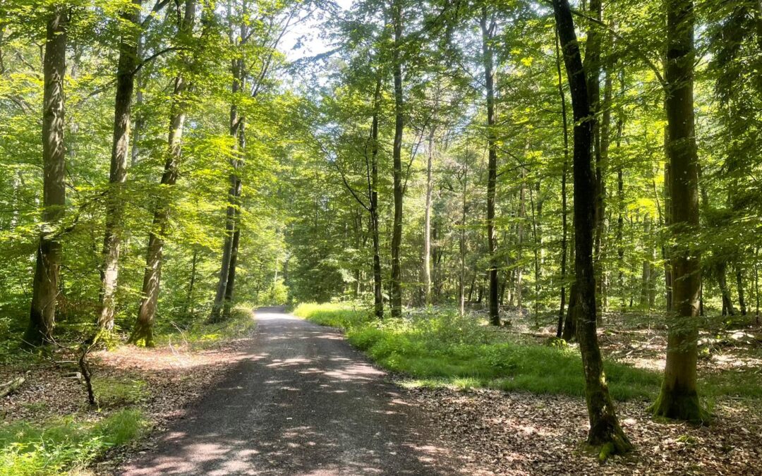 Tag 11 – Ohne viele Worte – Abenteuer Frieden