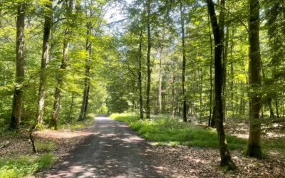 Tag 11 – Ohne viele Worte – Abenteuer Frieden