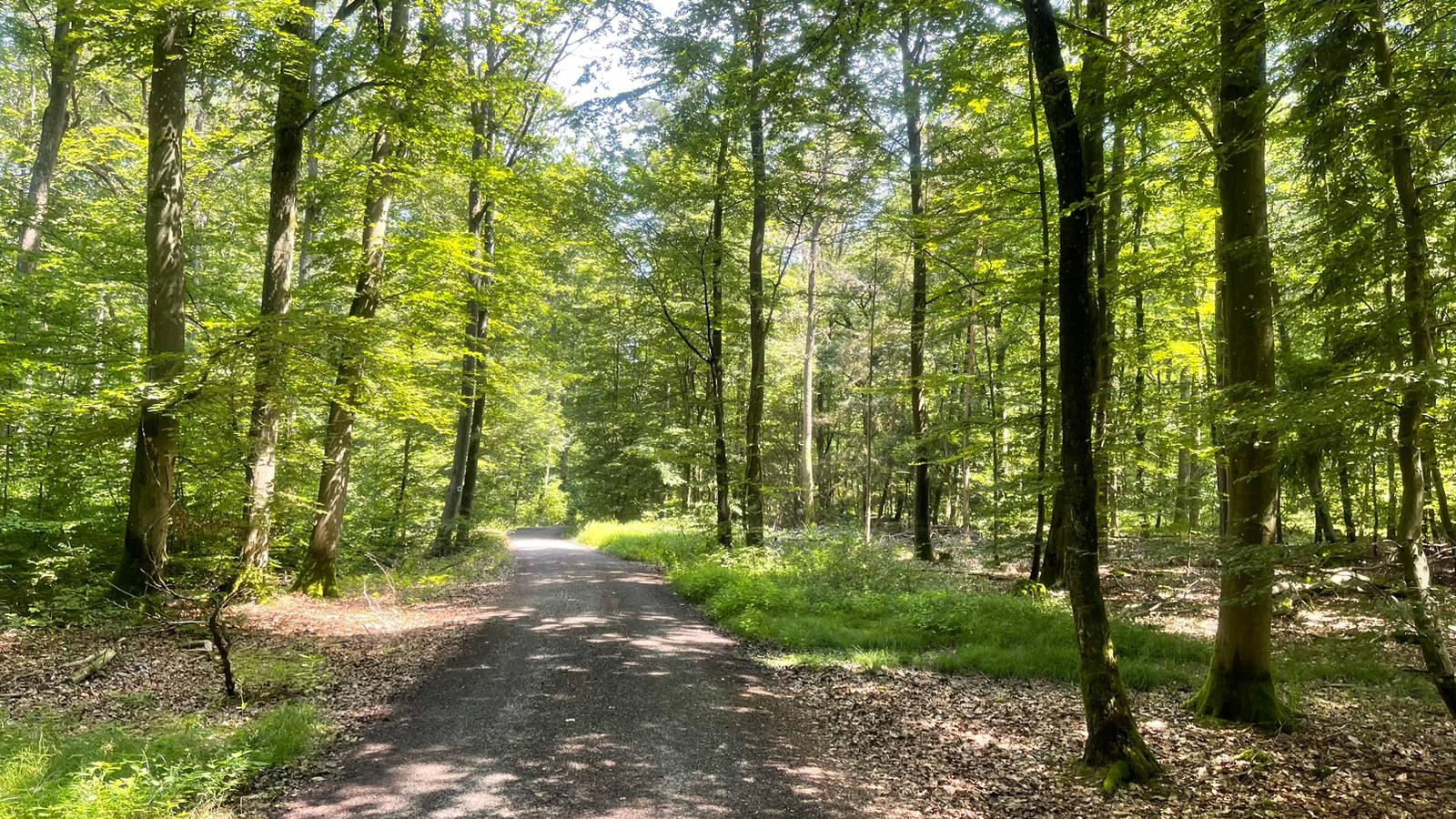 Abenteuer Frieden Tag 11