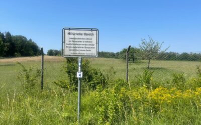 Tag 10 – Die Vergangenheit akzeptieren – Abenteuer Frieden