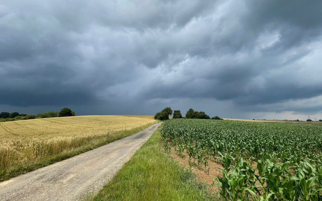 Tag 12 – Vertraue – Abenteuer Frieden