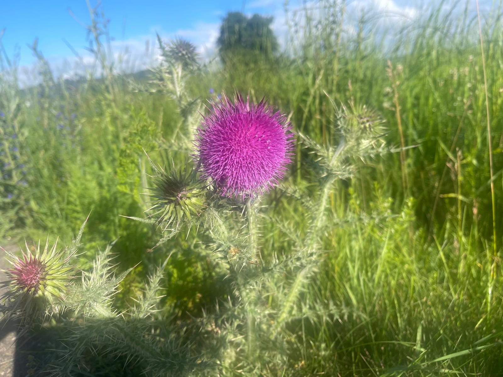 Tag 13 Abenteuer Frieden