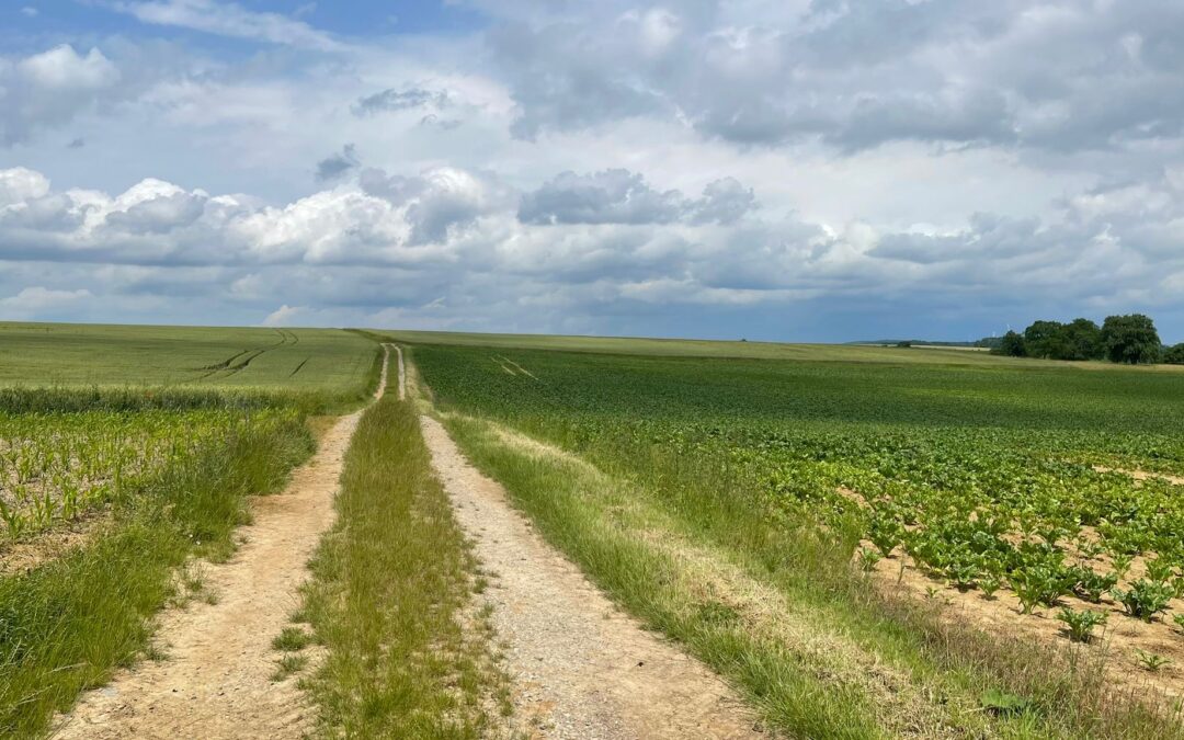 Tag 3 – Die einfachste Form der Wertschätzung – Abenteuer FRIEDEN