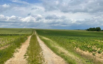 Tag 3 – Die einfachste Form der Wertschätzung – Abenteuer FRIEDEN