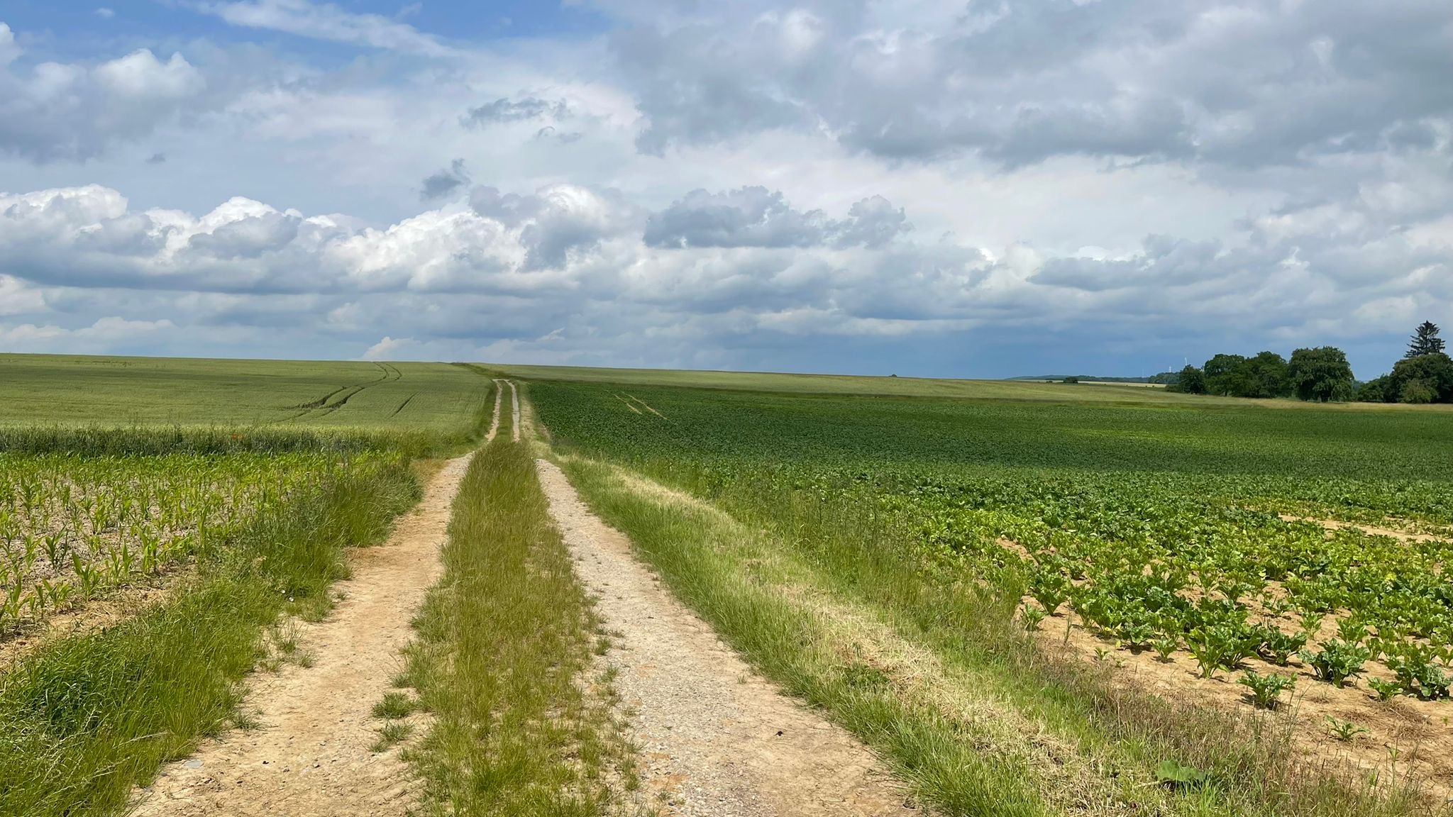 Tag 3 – Abenteuer Frieden