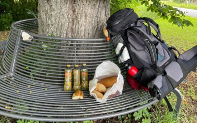 Tag 6 – Die beste Waffe ist die Liebe – Abenteuer Frieden