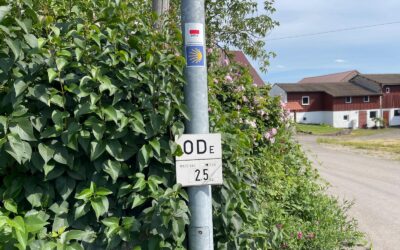 Tag 2 – Eine Ode an die Freude – Abenteuer FRIEDEN