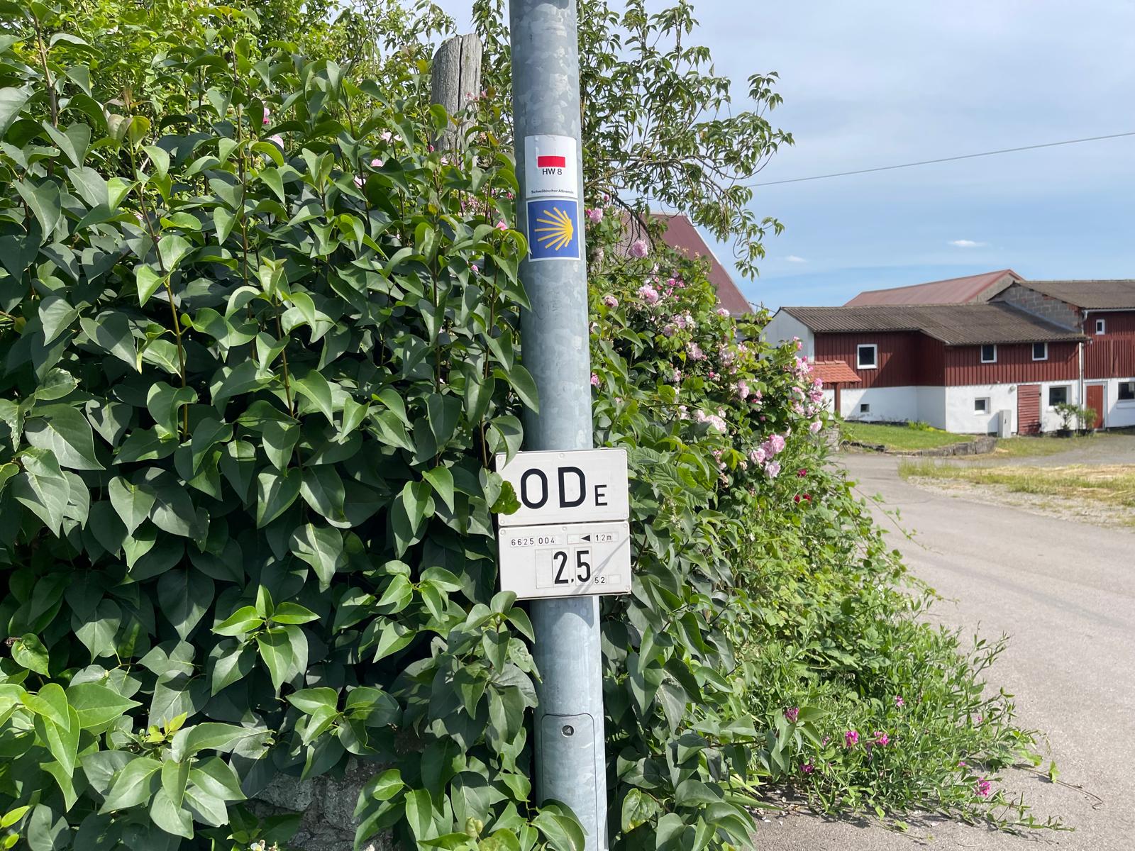 Tag 2 – Abenteuer Frieden