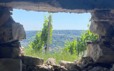 Tag 9 – Leben im Überfluss – Abenteuer Frieden