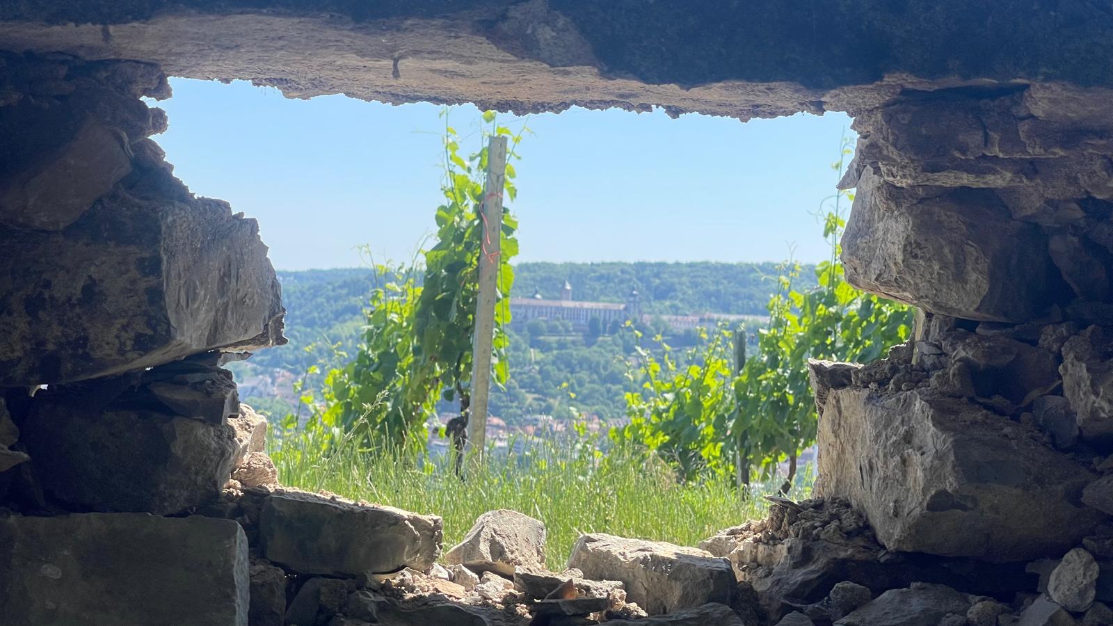 WhatsApp Image 2024-06-25 at 17.14.24 2