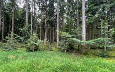 Tag 15 – Die Natur als Friedenstifter – Abenteuer Frieden