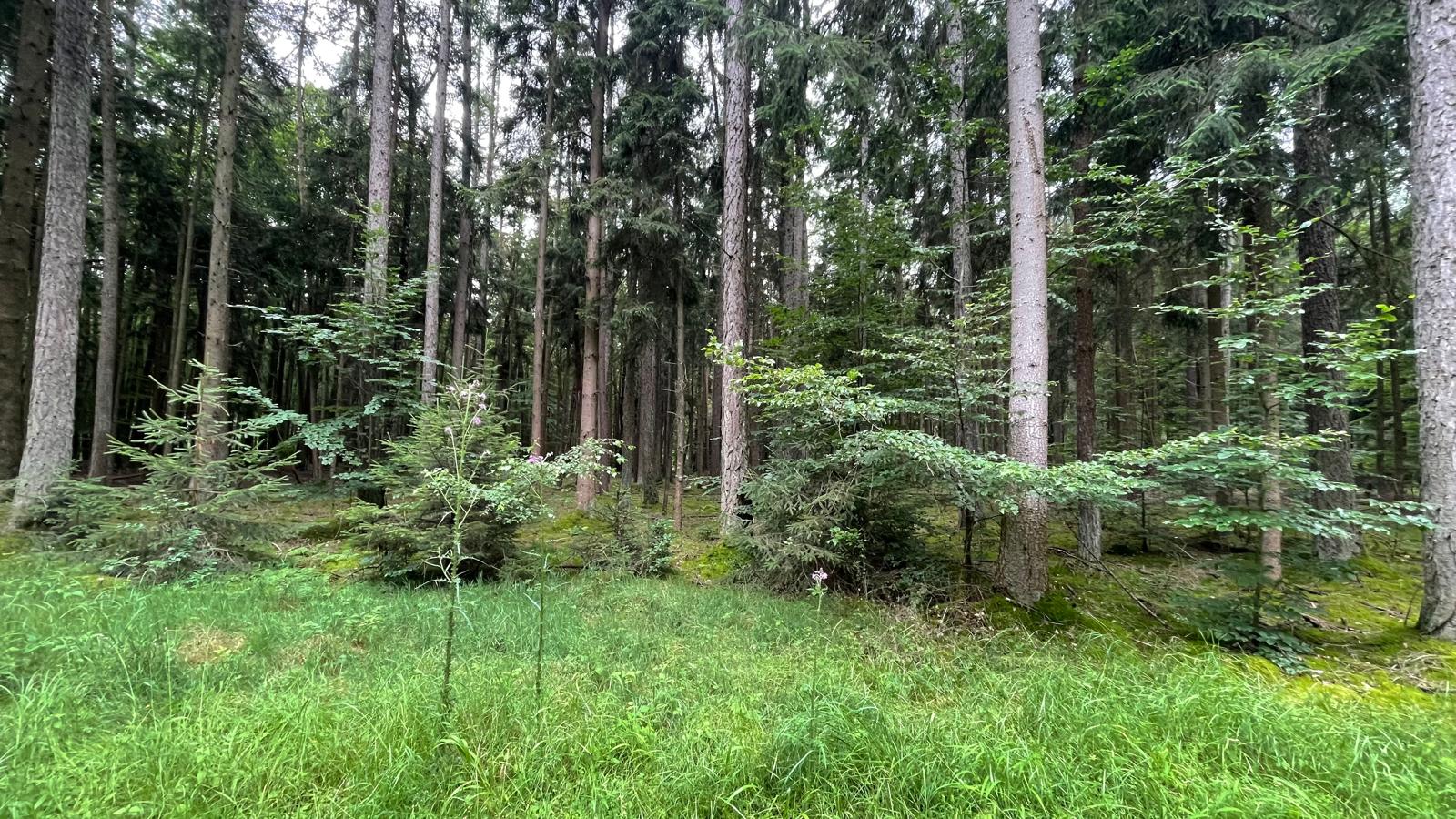 Tag 15 Abenteuer Frieden