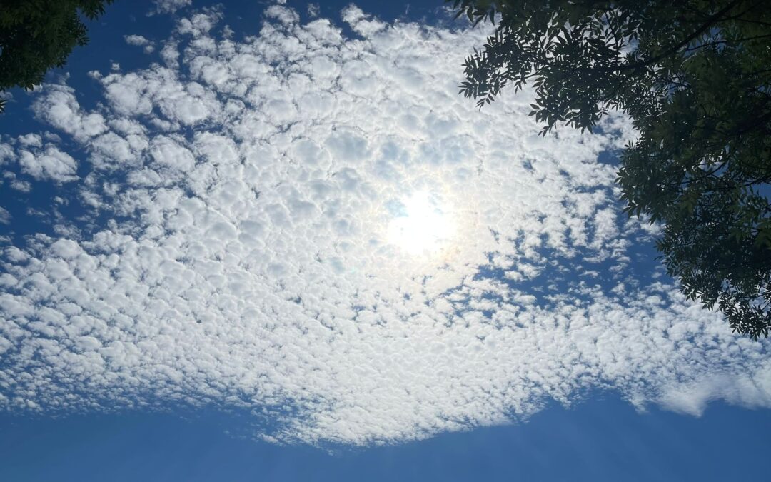 Tag 20 – Halbzeit – Abenteuer Frieden