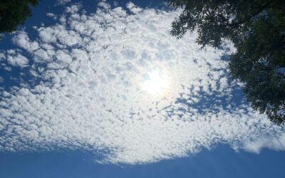 Tag 20 – Halbzeit – Abenteuer Frieden