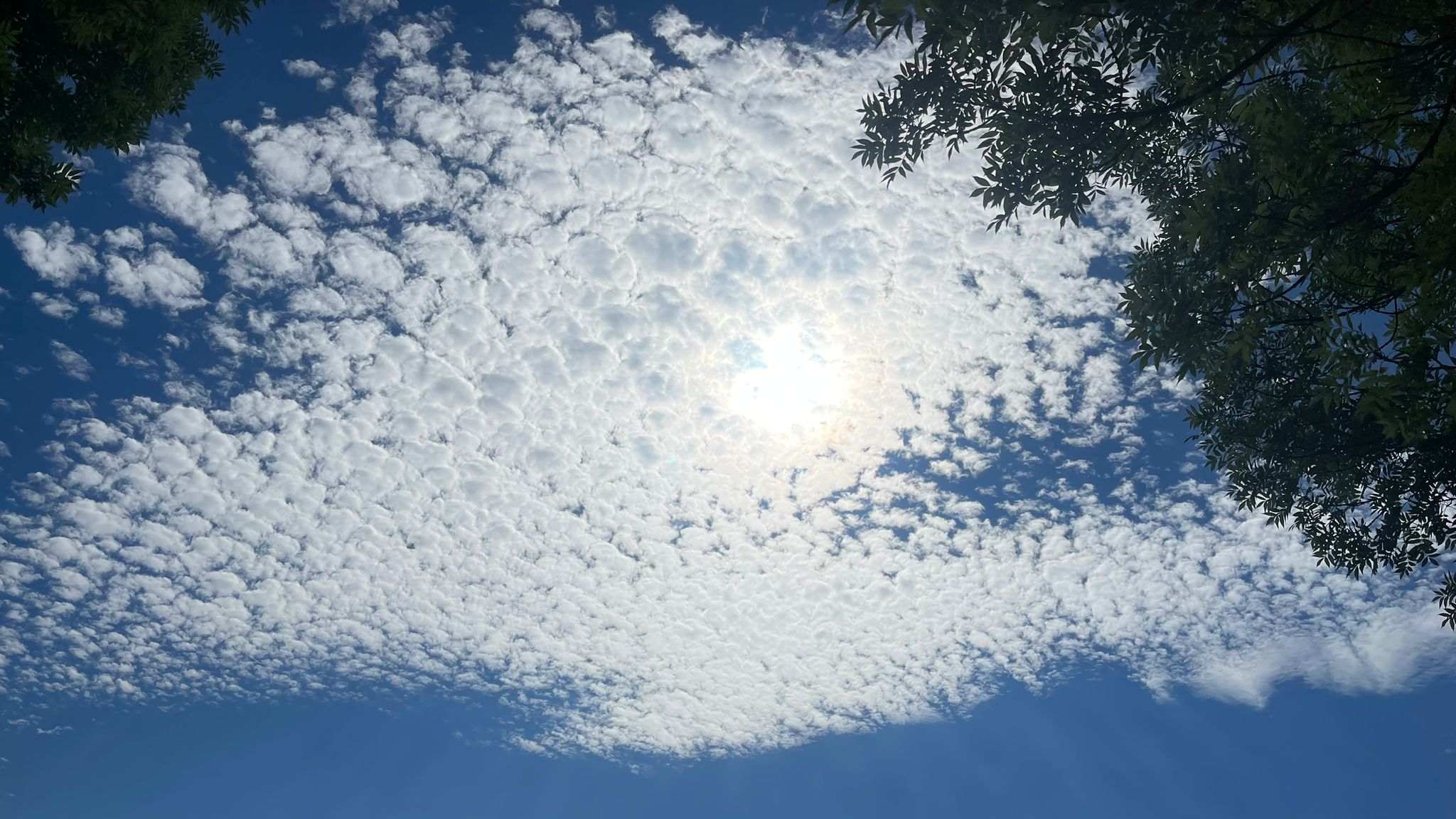 Tag 20 Abenteuer Friedenm