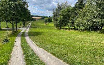 Tag 27 – Die Natur holt sich alles zurück – Abenteuer Frieden