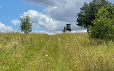 Tag 30 – Erinnerungen als Mahnung – Abenteuer Frieden