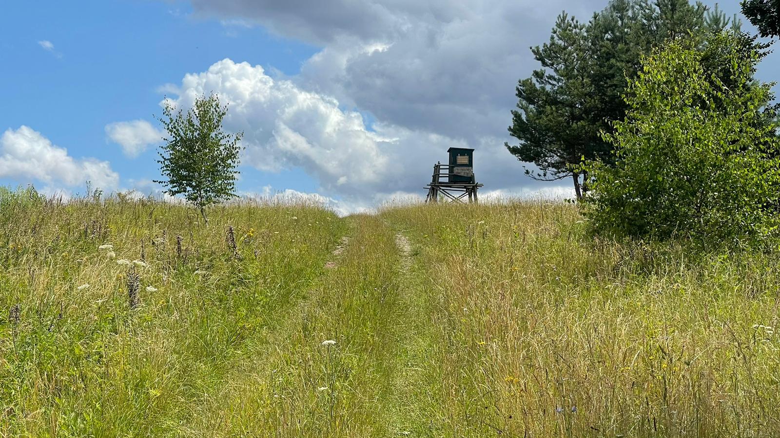 Tag 30 Abenteuer Frieden