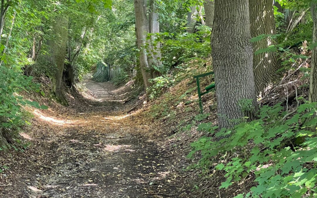 Tag 33 – Das Beste kommt zum Schluss – Abenteuer Frieden