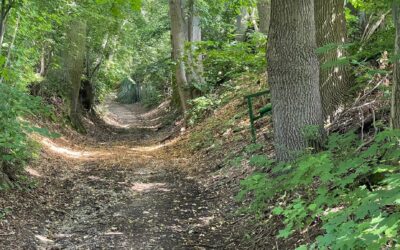 Tag 33 – Das Beste kommt zum Schluss – Abenteuer Frieden