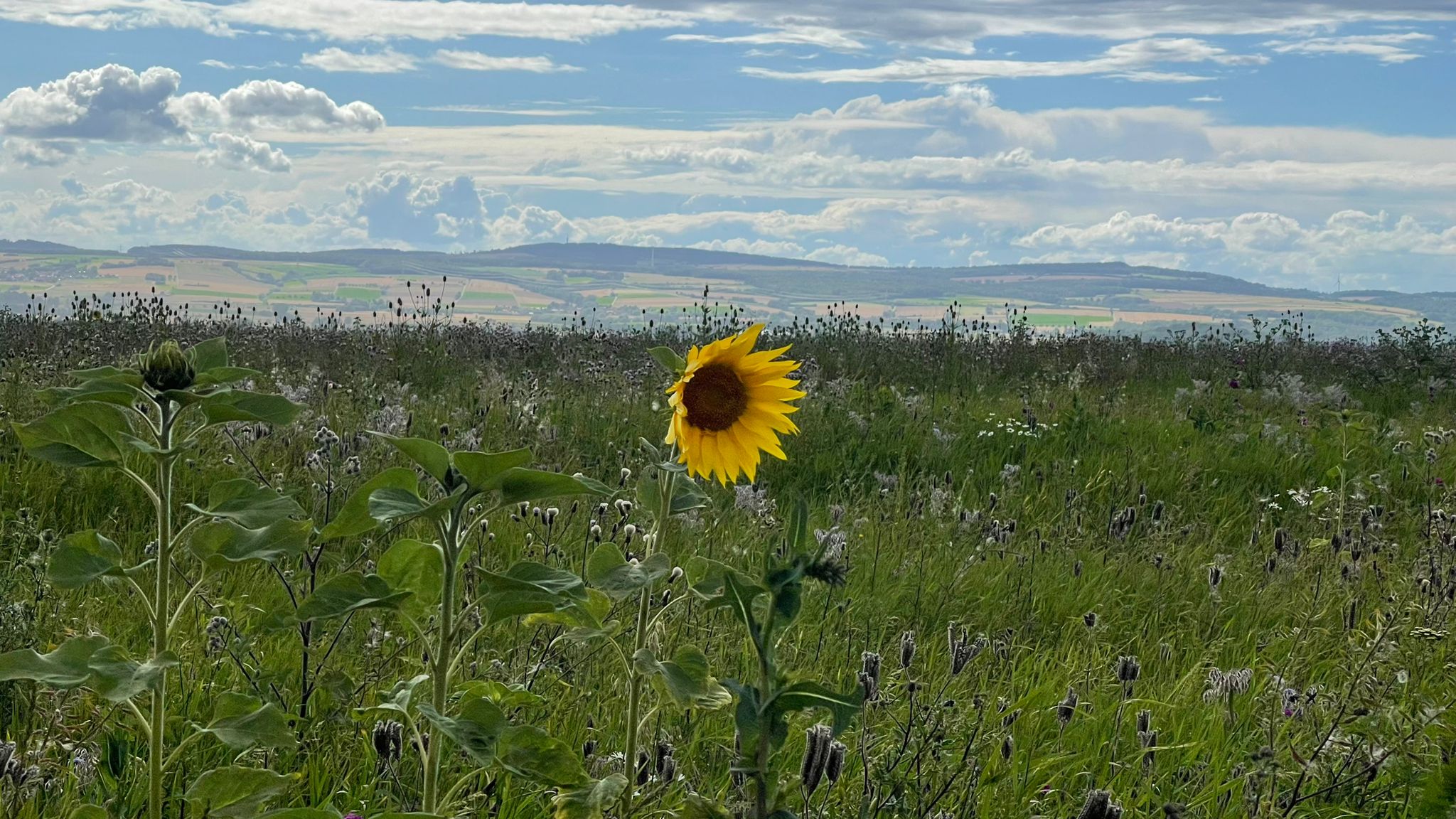 Tag 34 Abenteuer Frieden
