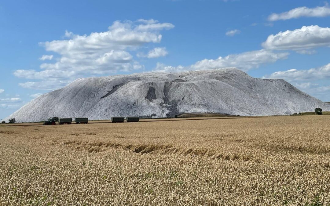 Tag 37 – In Relation setzen – Abenteuer Frieden