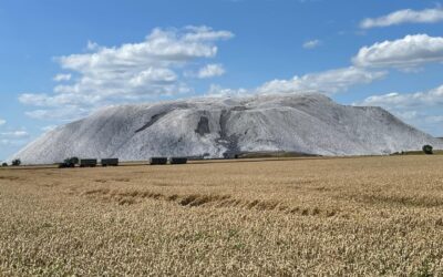 Tag 37 – In Relation setzen – Abenteuer Frieden