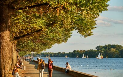 Tag 38 – Täuschung – Abenteuer Frieden