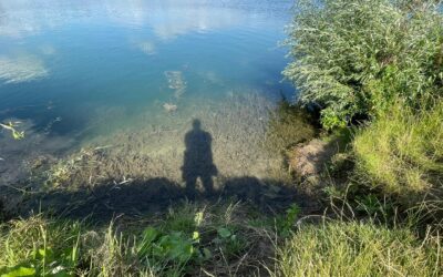 Tag 39 – Was die Menschen im Inneren bewegt – Abenteuer Frieden