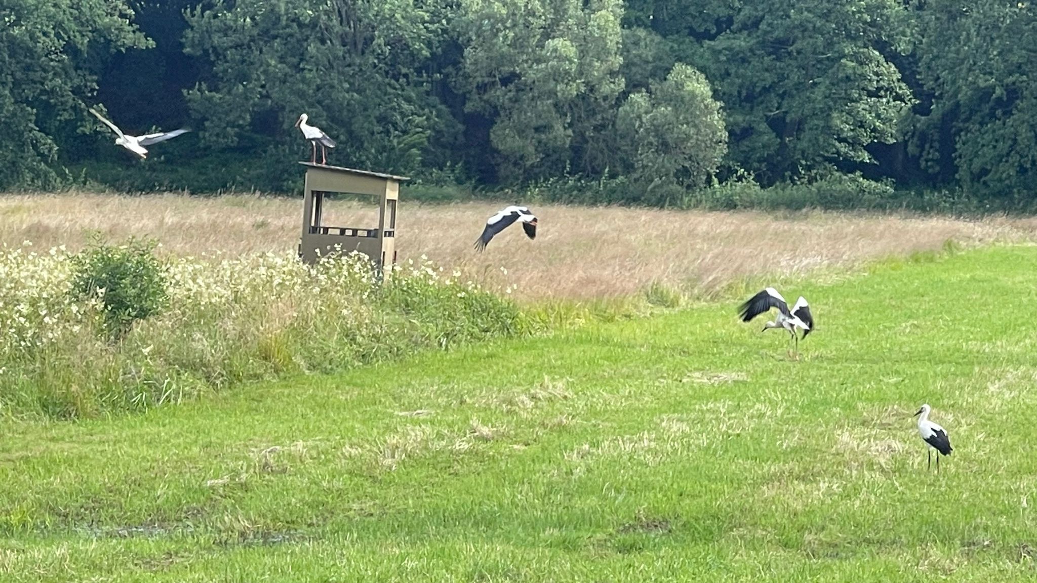 WhatsApp Image 2024-07-05 at 22.05.52