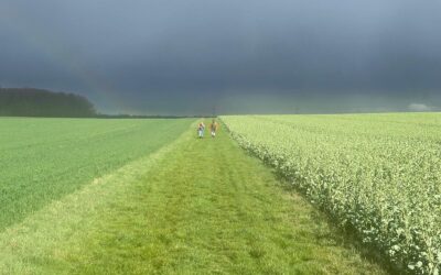 Tag 32 – Dunkelheit und Gefahr – Abenteuer Frieden